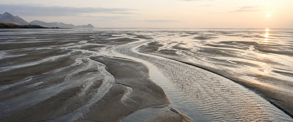 Nordic Tidal Flat at Early Morning Light-1-1