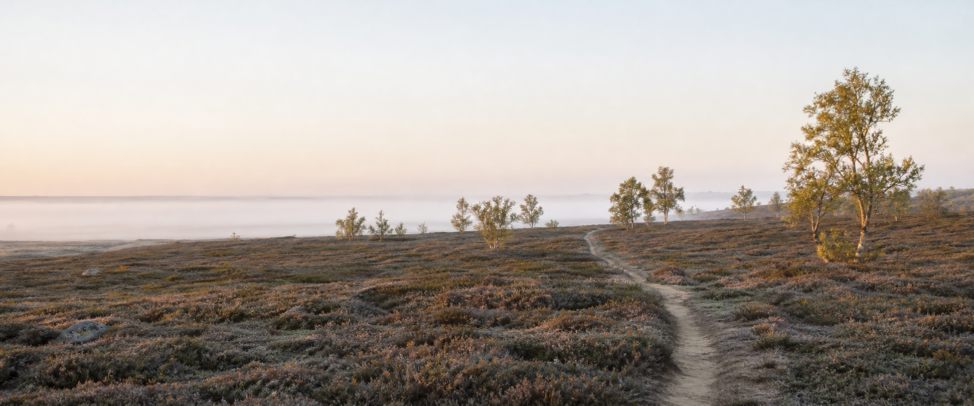 How to use the Wheel of Life: a step-by-step guide for leaders